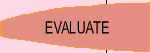 EVALUATE